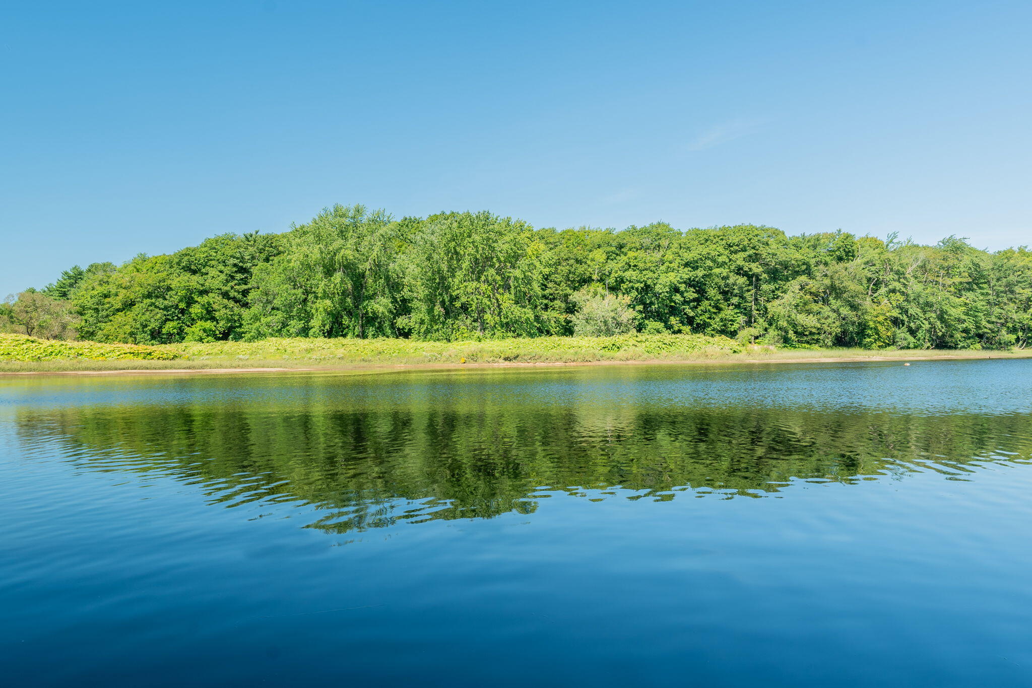 130 Storer Road Brunswick, ME 04011 - Photo 6 of 44 85-web-or-mls-130 Storer Rd-85