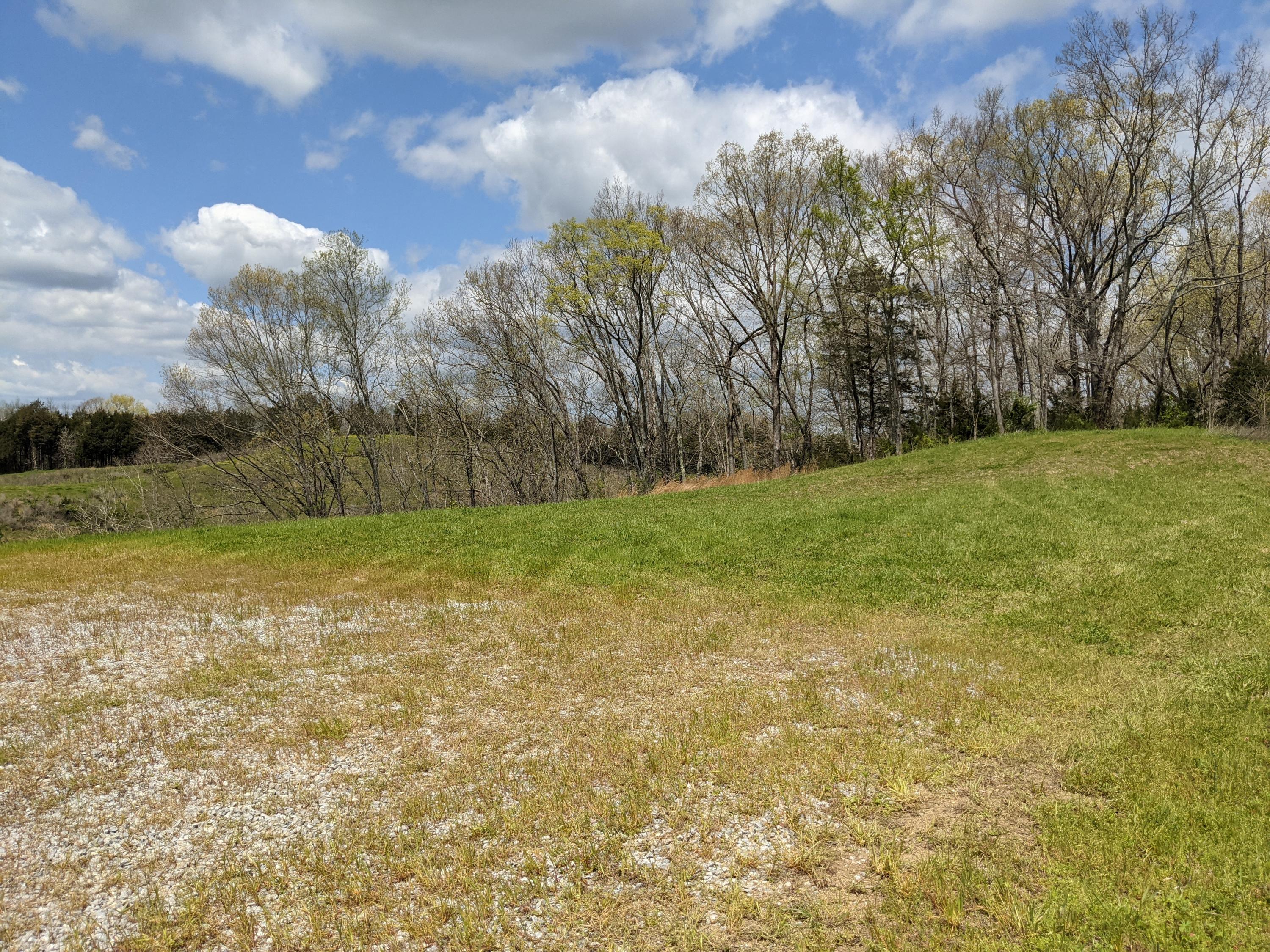 275 Doc Hawkins Road Greeneville, TN 37745 - Photo 3 of 10 PXL_20210415_163226356