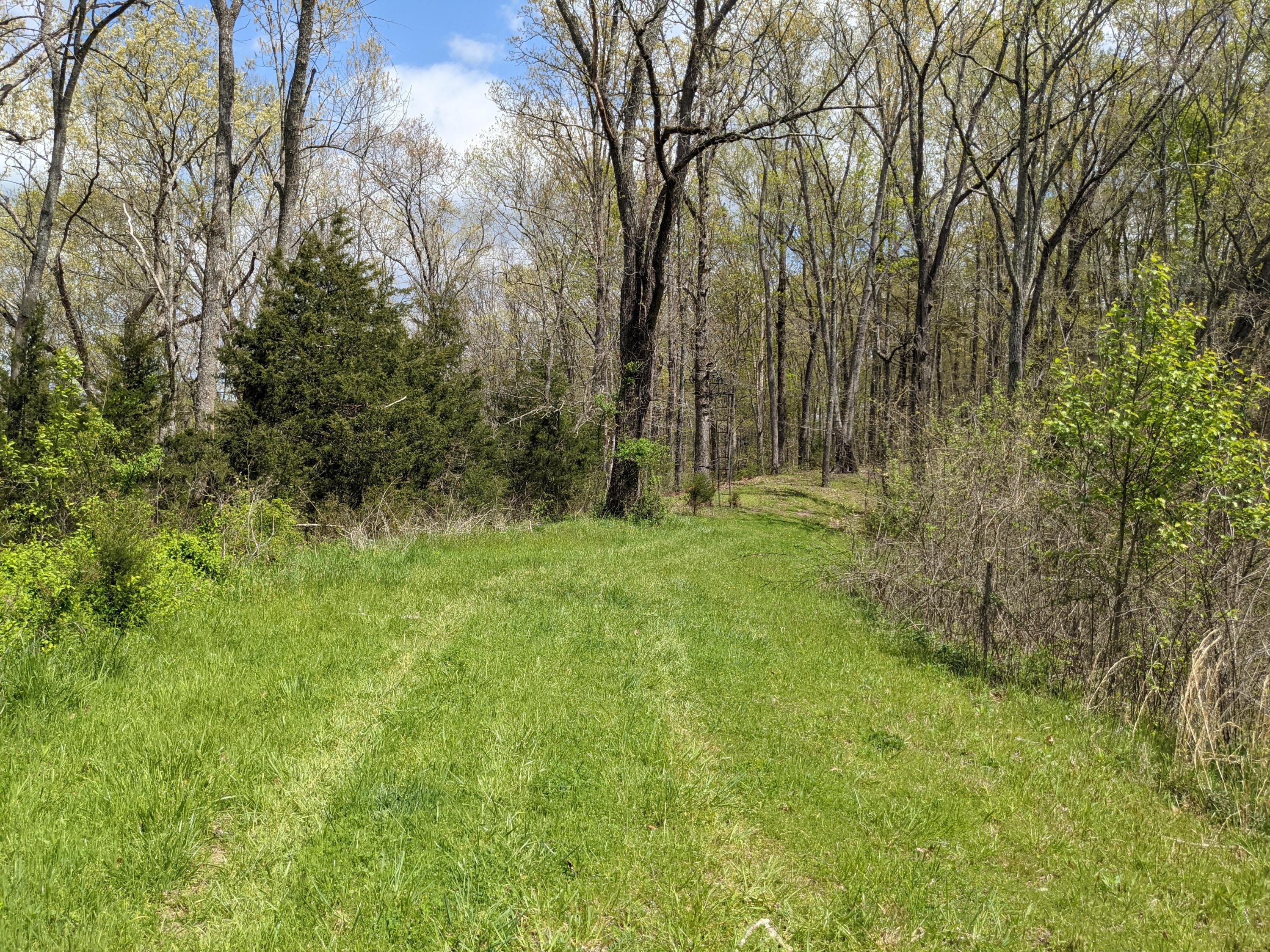 275 Doc Hawkins Road Greeneville, TN 37745 - Photo 5 of 10 PXL_20210415_163557140