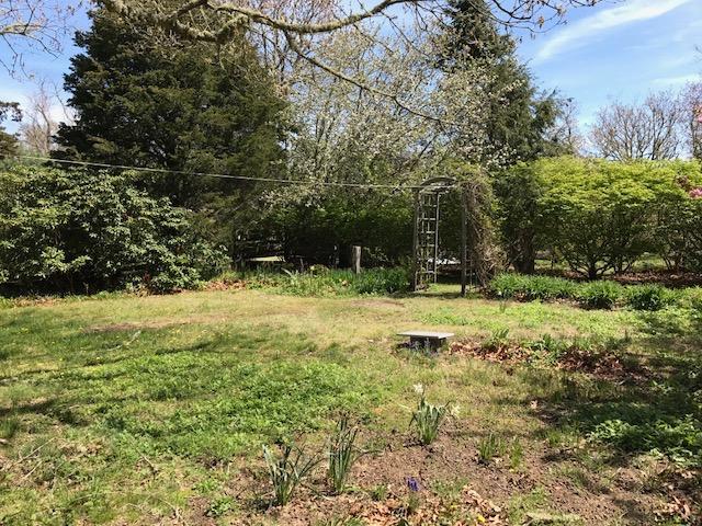 1720 Bridge Road Eastham, MA 02642 - Photo 4 of 24 a view of outdoor space with trees all around