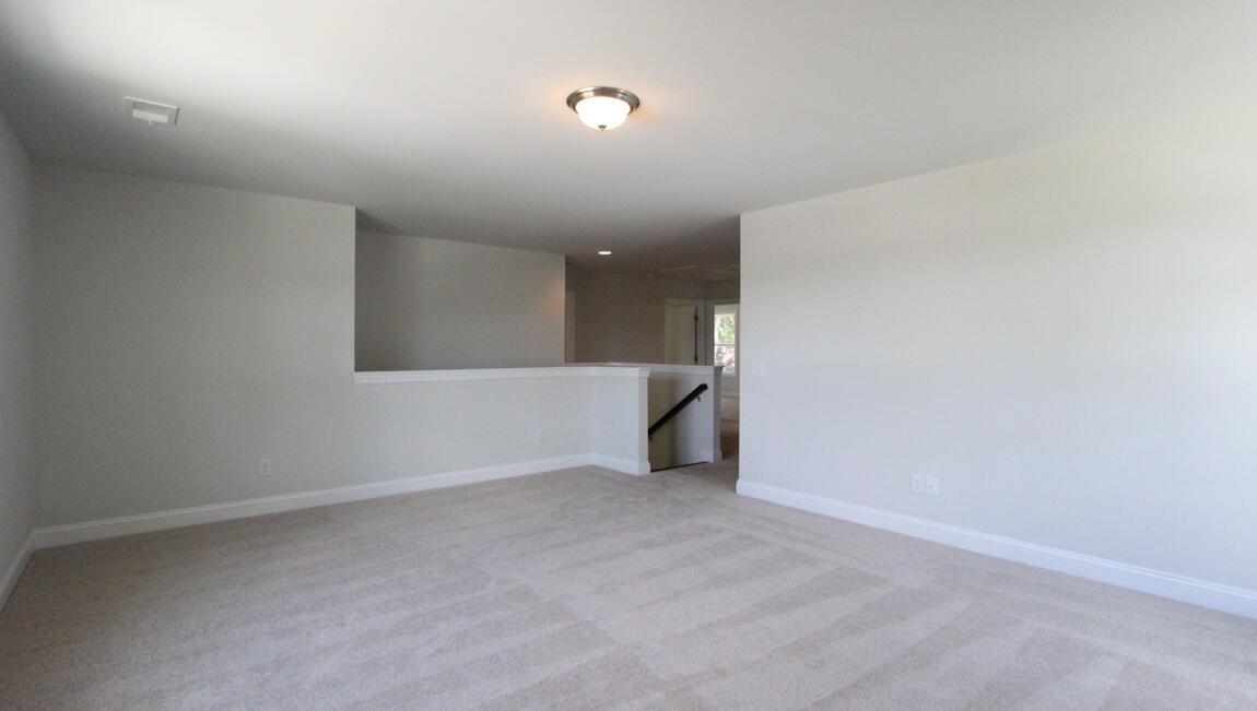 1213 Rudy Ln Mount Mount Pleasant, SC 29466 - Photo 29 of 46 Tillman Interior 1 (22)