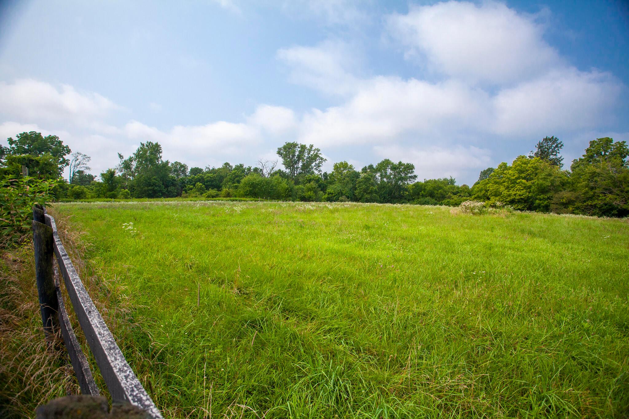 4979 Nickelson Road Prospect, OH 43342 - Photo 59 of 68 Back Pasture