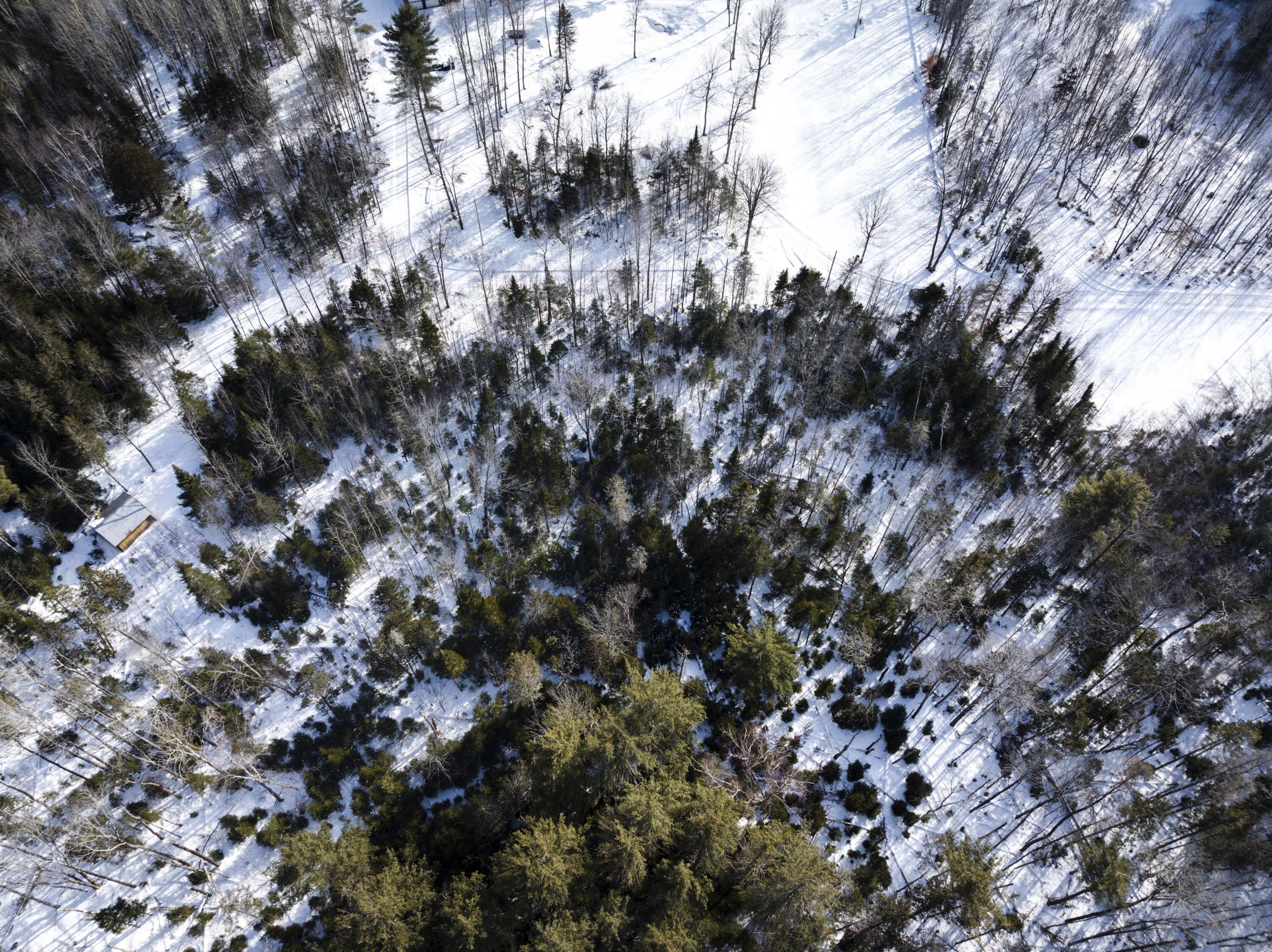 Dover-foxcroft Paine Road Dover-Foxcroft, ME 04426 - Photo 19 of 20 DJI_20240219025620_0004_D