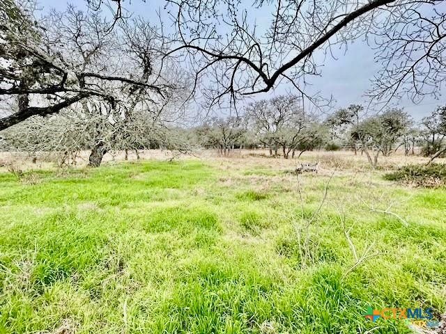 103 Forest View Drive Victoria, TX 77905 - Photo 18 of 20 a view of a yard with an trees