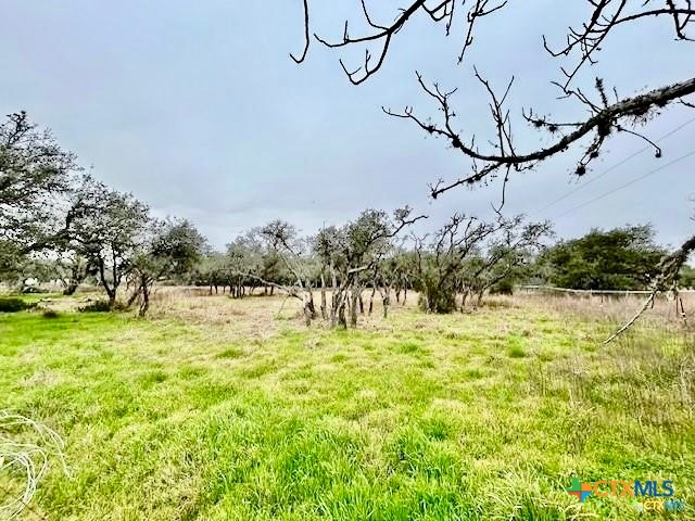 103 Forest View Drive Victoria, TX 77905 - Photo 19 of 20 a view of swimming pool with a yard
