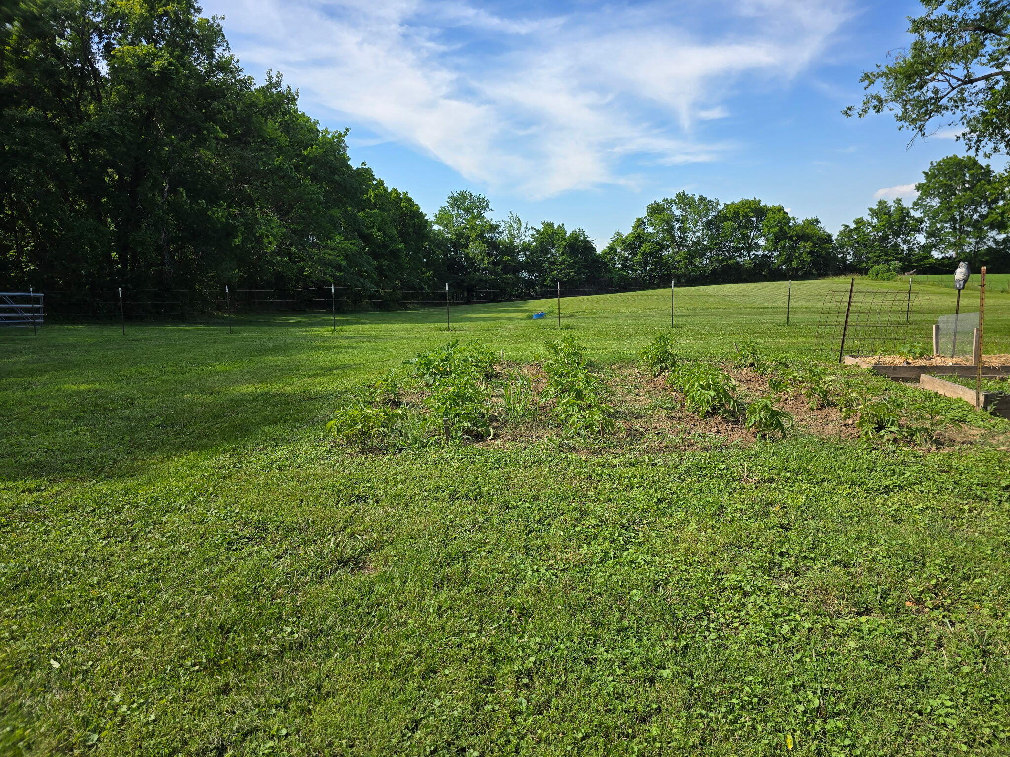 1305 Prairie Ridge Road Ozark, MO 65721 - Photo 23 of 29 IMG_20260929_152630
