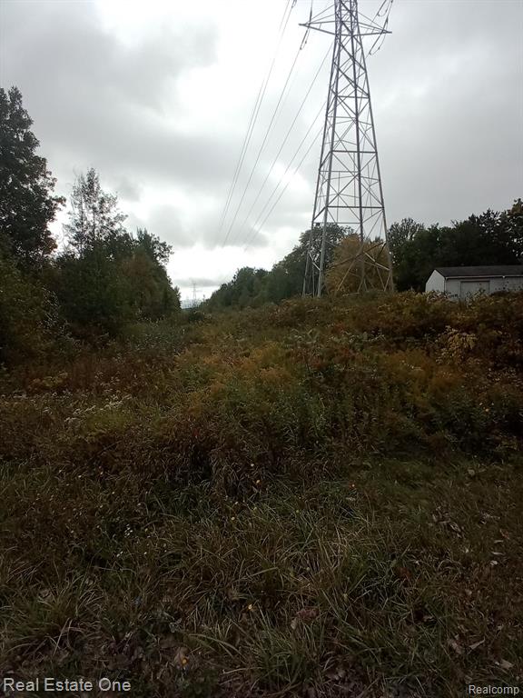 0 Wales Ridge Road Goodells, MI 48027 - Photo 3 of 4
