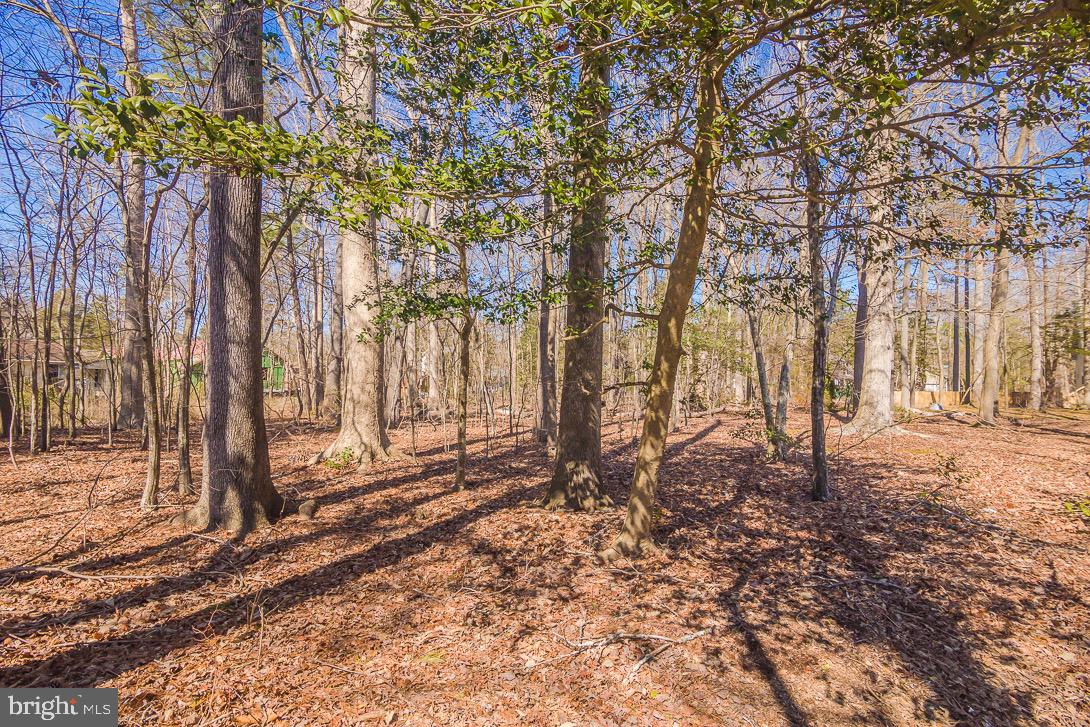 8 Watertown Road Ocean Pines, MD 21811 - Photo 39 of 54 Wooded lot