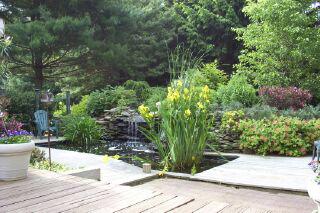 738 Apollo Drive Bethlehem, PA 18017 - Photo 3 of 5 Beautiful koi pond