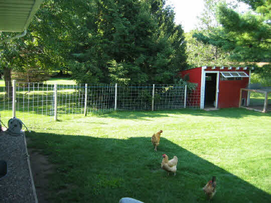 13795 Cook Road Pecatonica, IL 61063 - Photo 10 of 11 a backyard of a house with trampoline