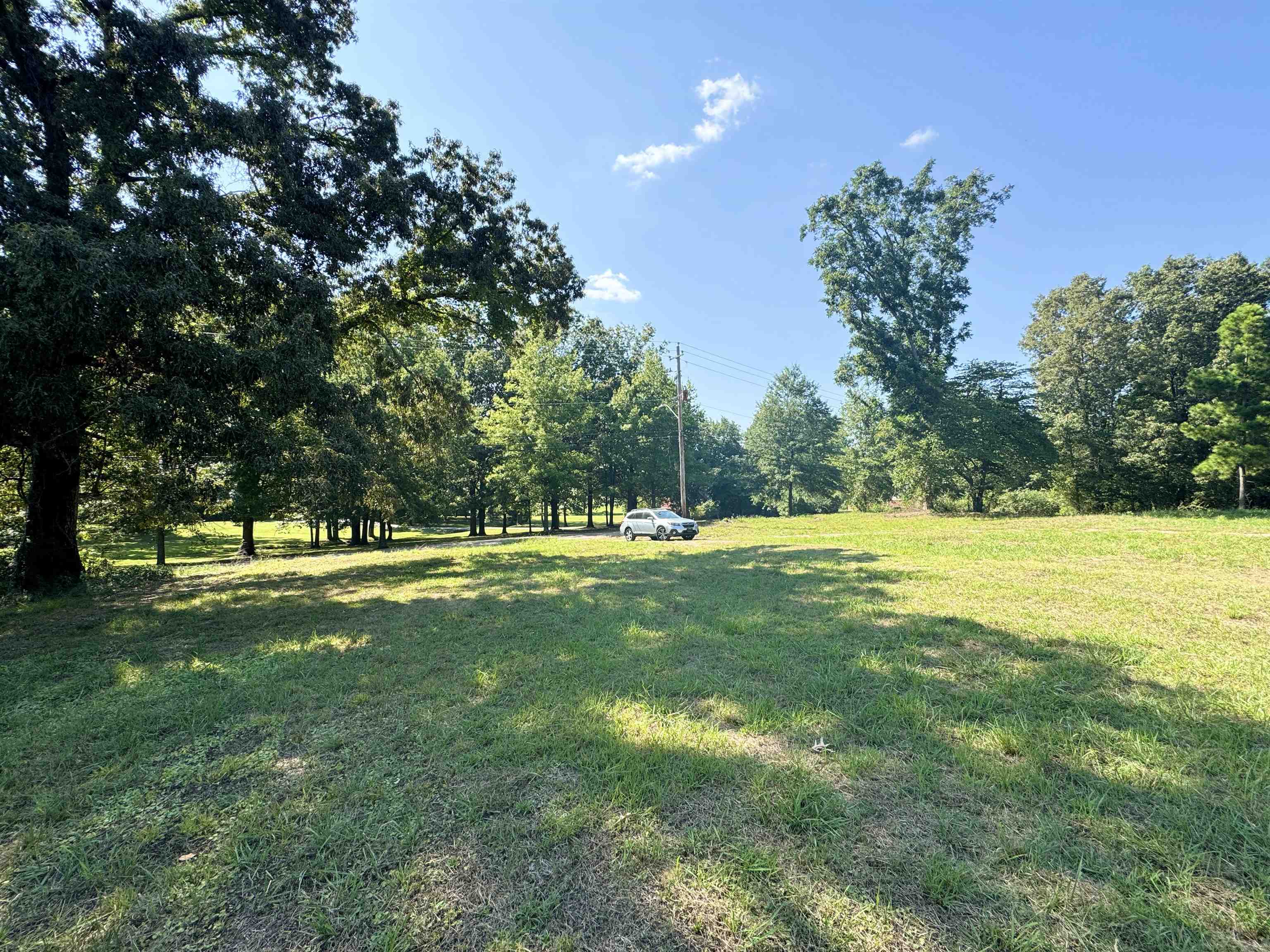 4040 Westbrook Road Bartlett, TN 38135 - Photo 3 of 10 View of yard