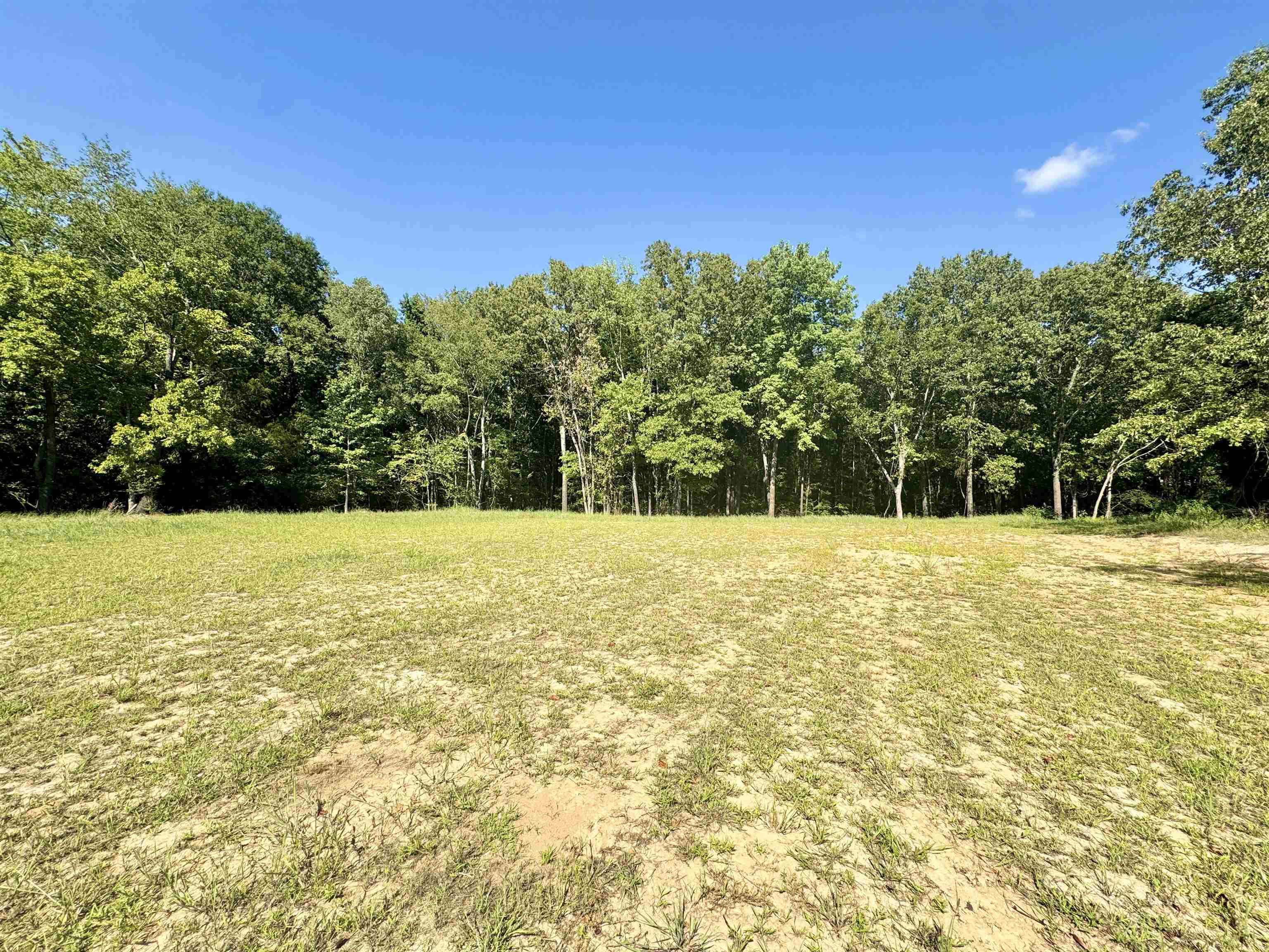 4040 Westbrook Road Bartlett, TN 38135 - Photo 7 of 10 View of yard
