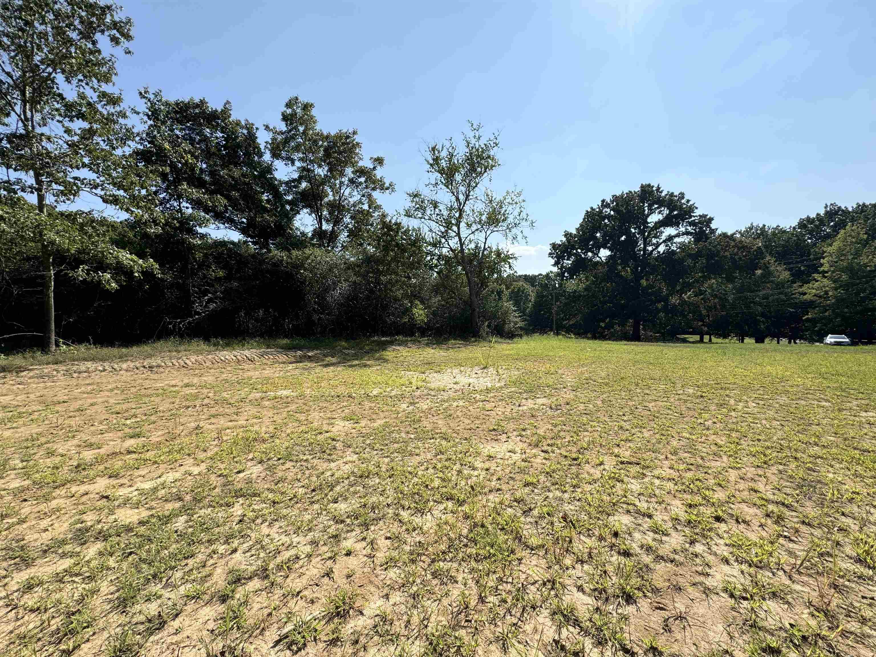 4040 Westbrook Road Bartlett, TN 38135 - Photo 8 of 10 View of yard