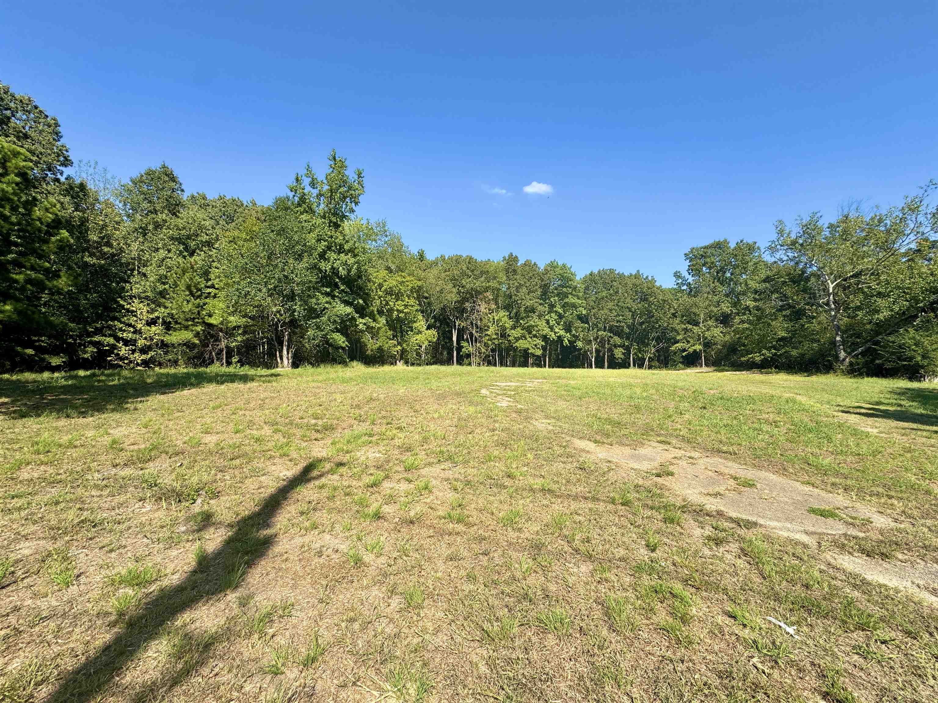 4040 Westbrook Road Bartlett, TN 38135 - Photo 9 of 10 View of yard