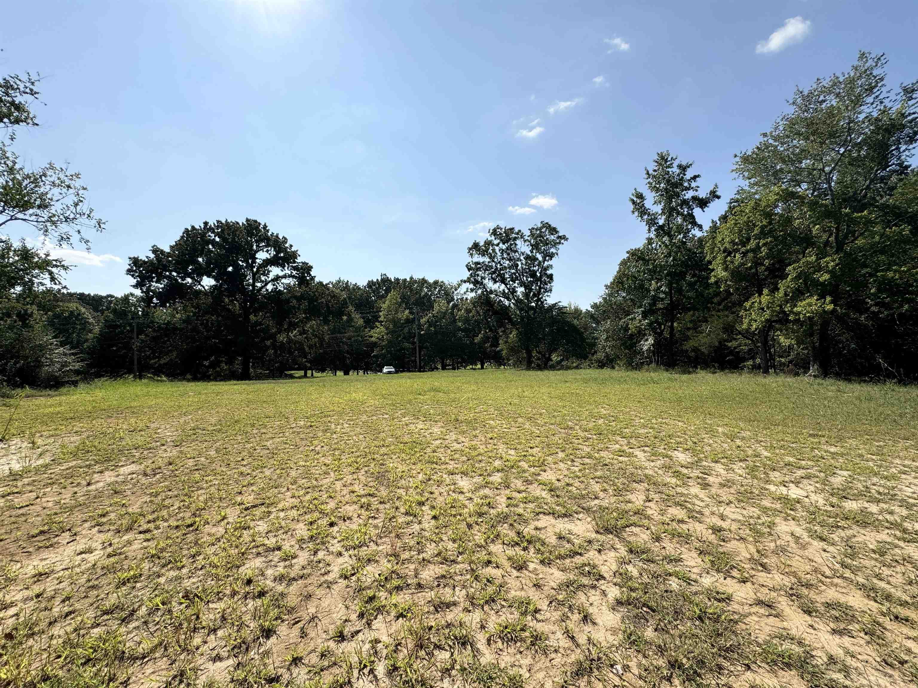 4040 Westbrook Road Bartlett, TN 38135 - Photo 10 of 10 View of yard