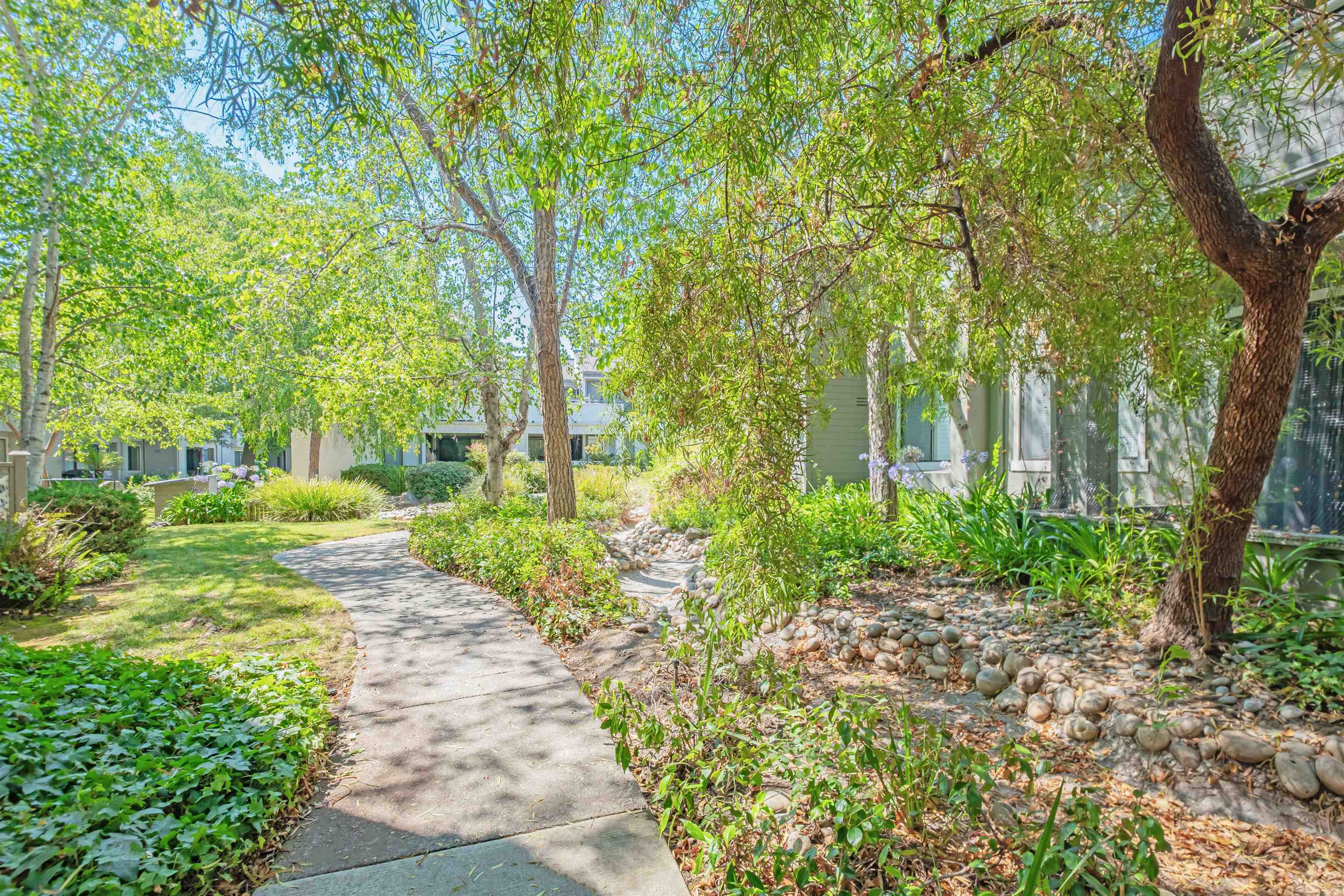 39945 Parada Street, Unit A Newark, CA 94560 - Photo 5 of 44 a view of a garden with large trees