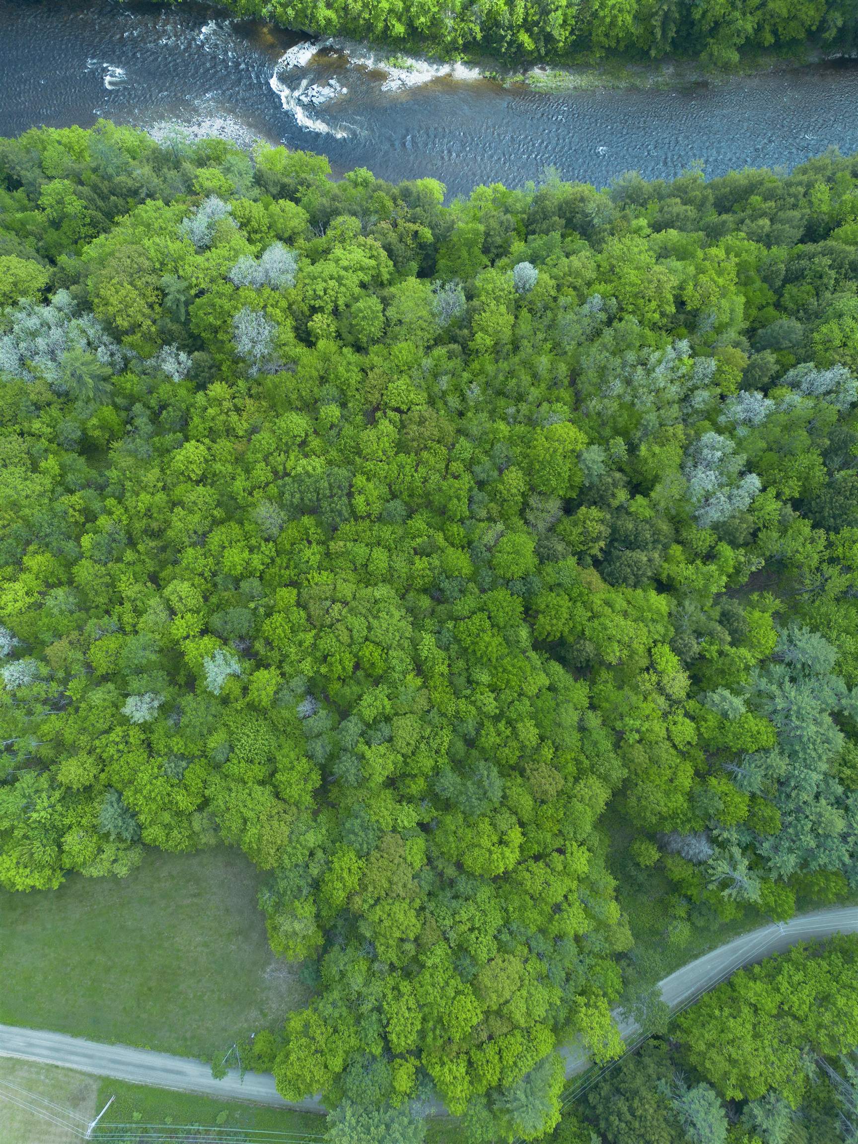31 River Road Bath, NH 03740 - Photo 6 of 26
