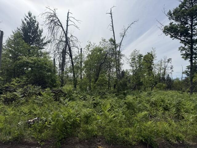 3 South Nelson Road Idlewild, MI 49642 - Photo 2 of 6 IMG_6949
