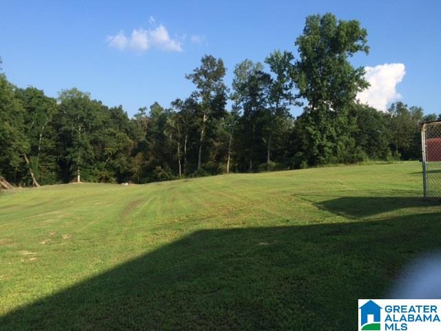 460 Moore Road Altoona, AL 35952 - Photo 25 of 29