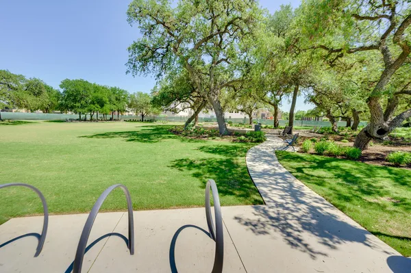 a view of a garden with a tree