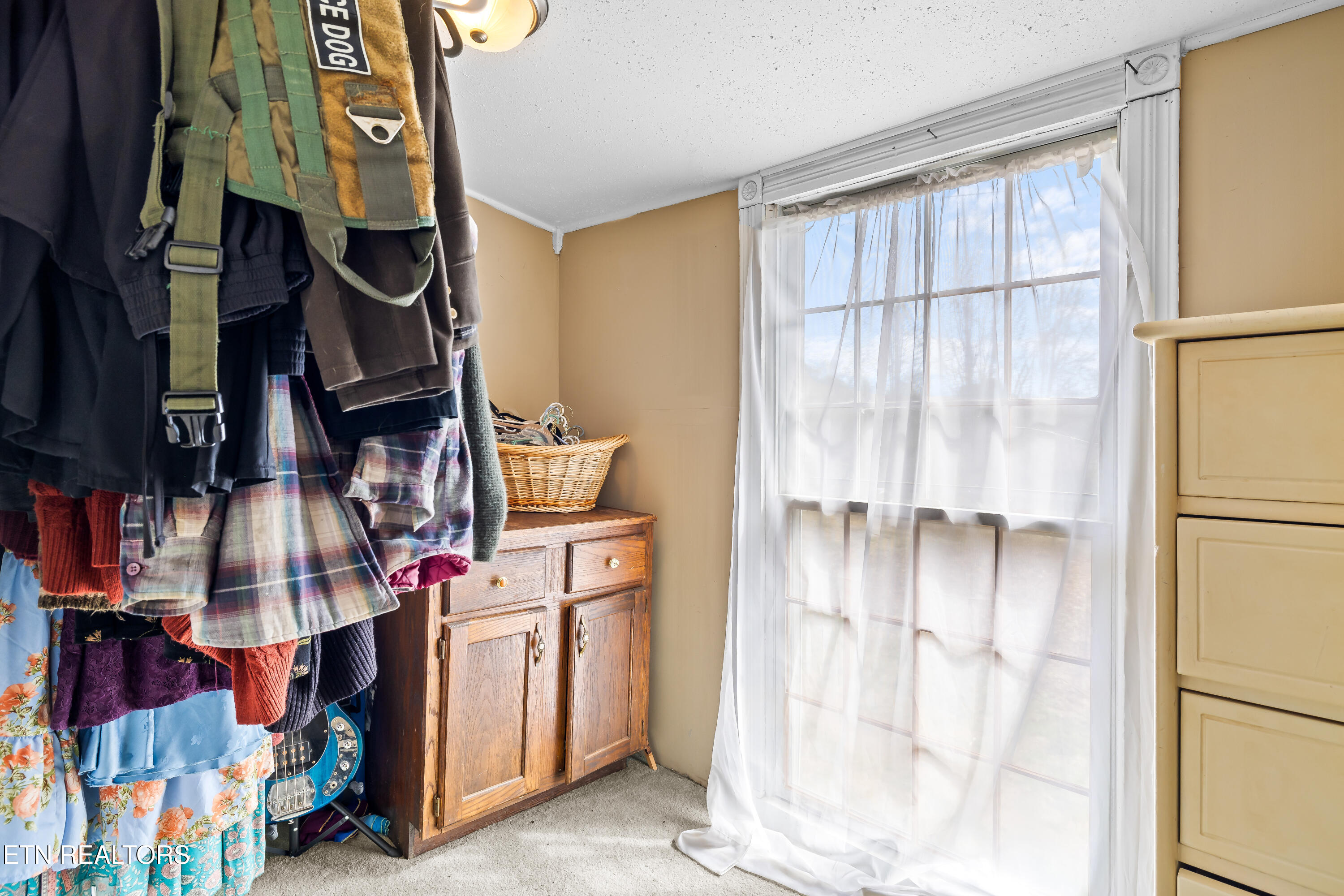 631 Pin Hook Road Spring City, TN 37381 - Photo 16 of 39 631PinHookRd-37