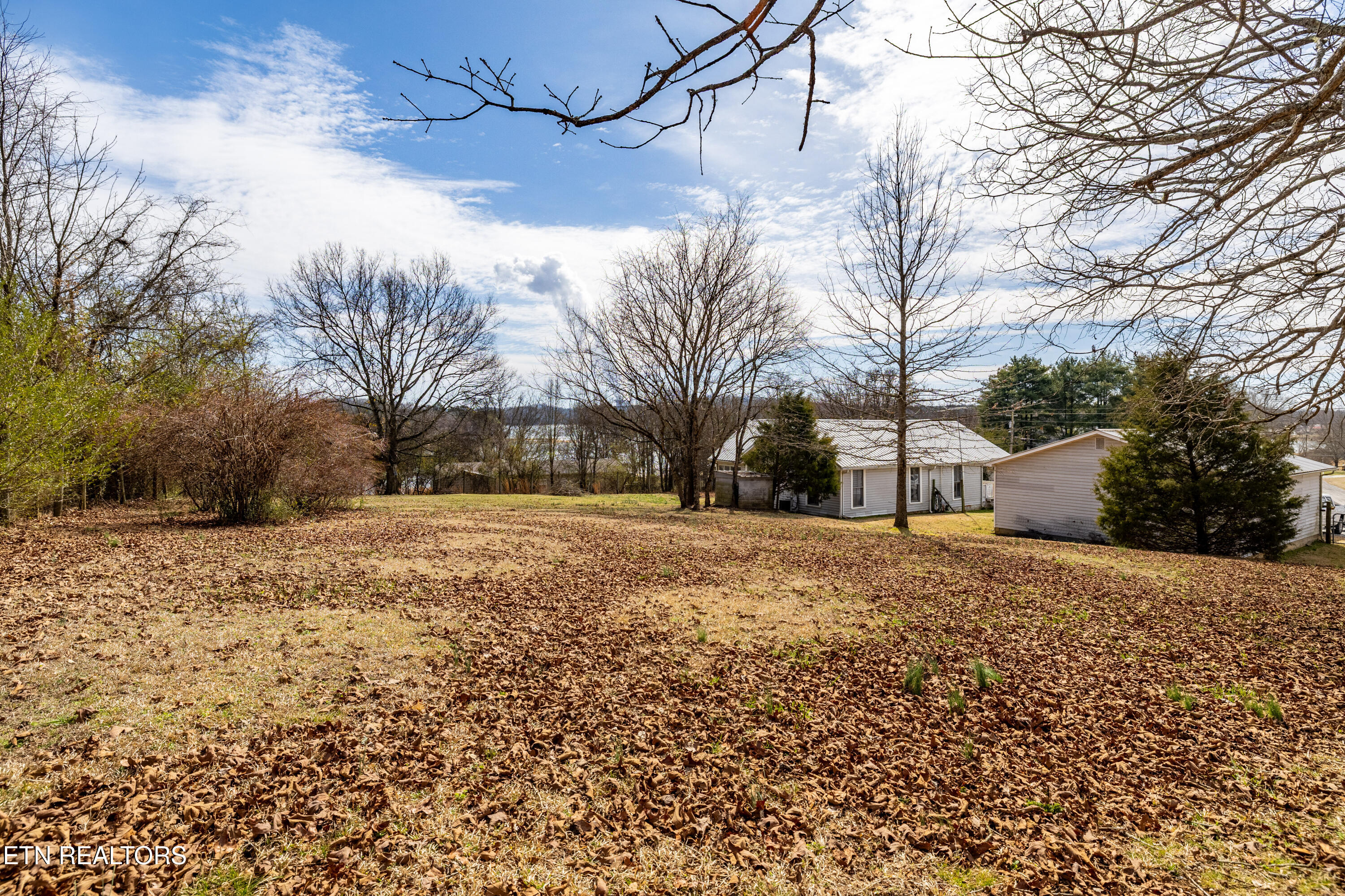 631 Pin Hook Road Spring City, TN 37381 - Photo 33 of 39 631PinHookRd-49