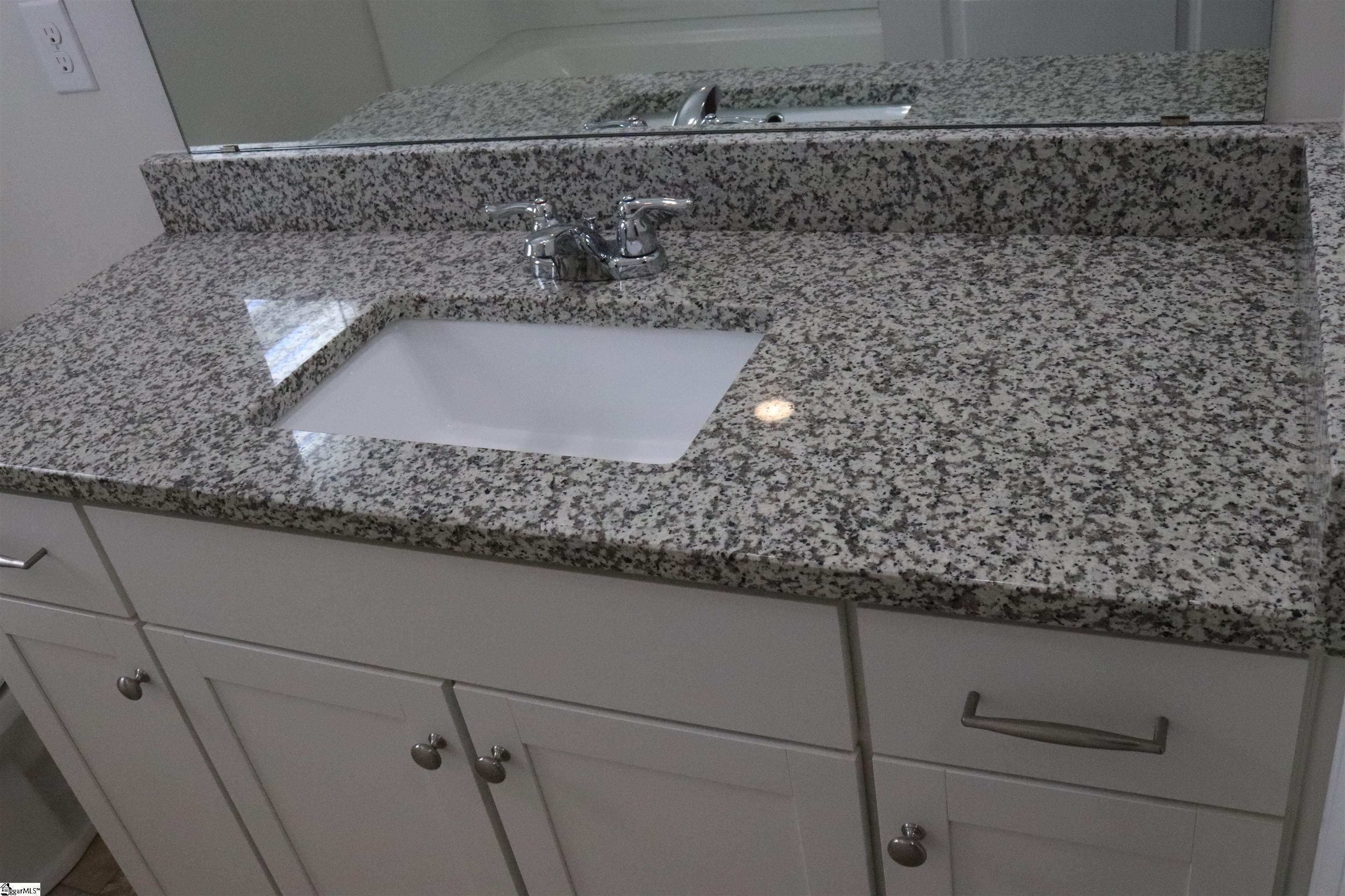 133 Rivermill Place Piedmont, SC 29673 - Photo 7 of 42