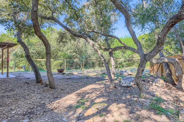 a view of a backyard with table and chairs under a large tree
