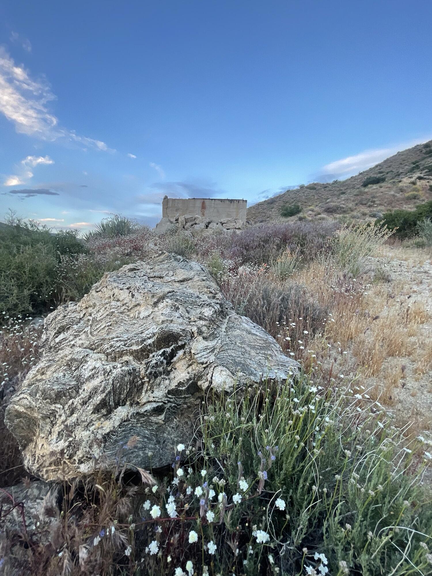 52073 Canyon Road Morongo Valley, CA 92256 - Photo 11 of 19 70494604035__D6DA8320-C7DB-4A22-BAAE-688