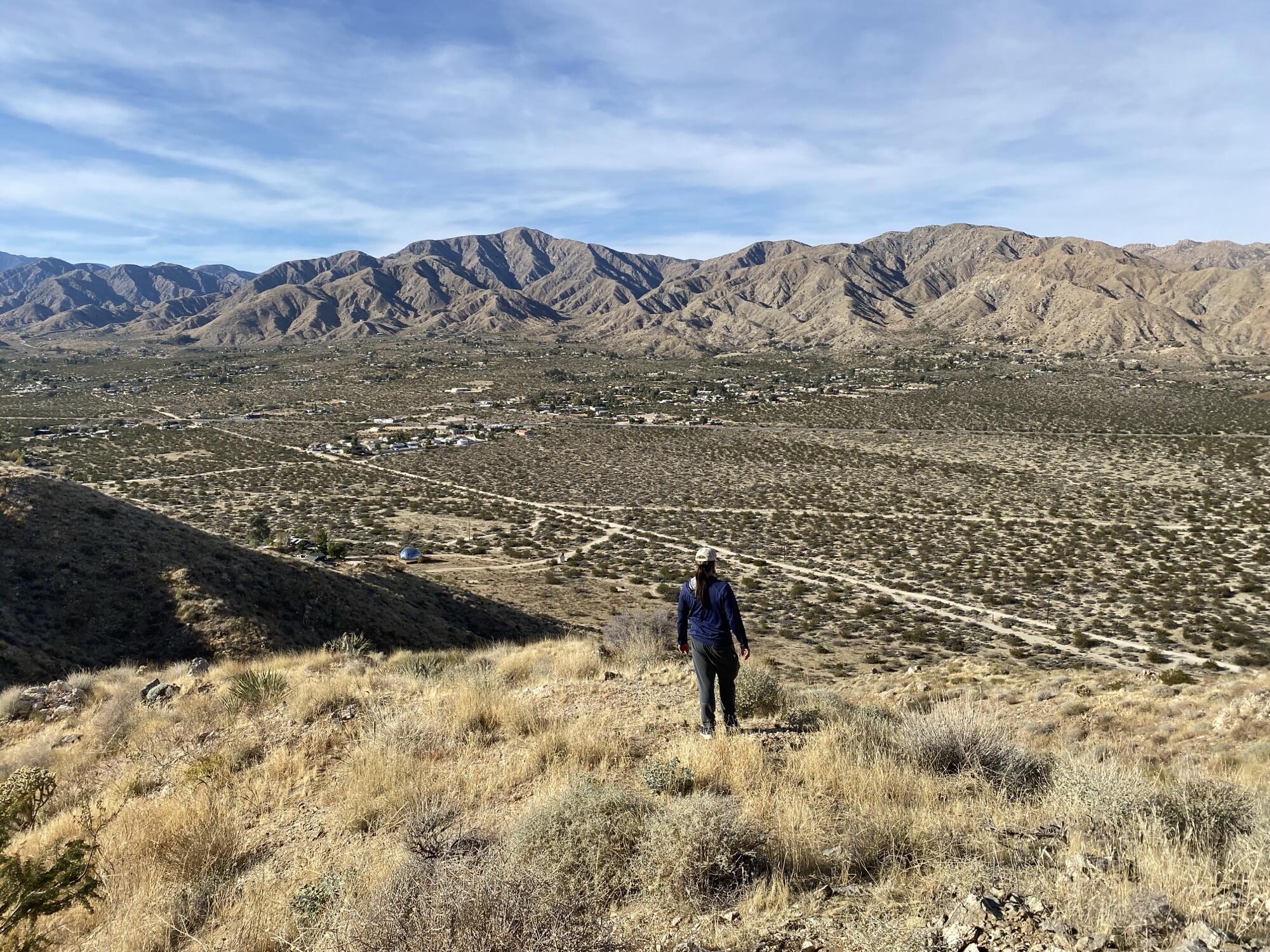 52073 Canyon Road Morongo Valley, CA 92256 - Photo 6 of 19 IMG_6583