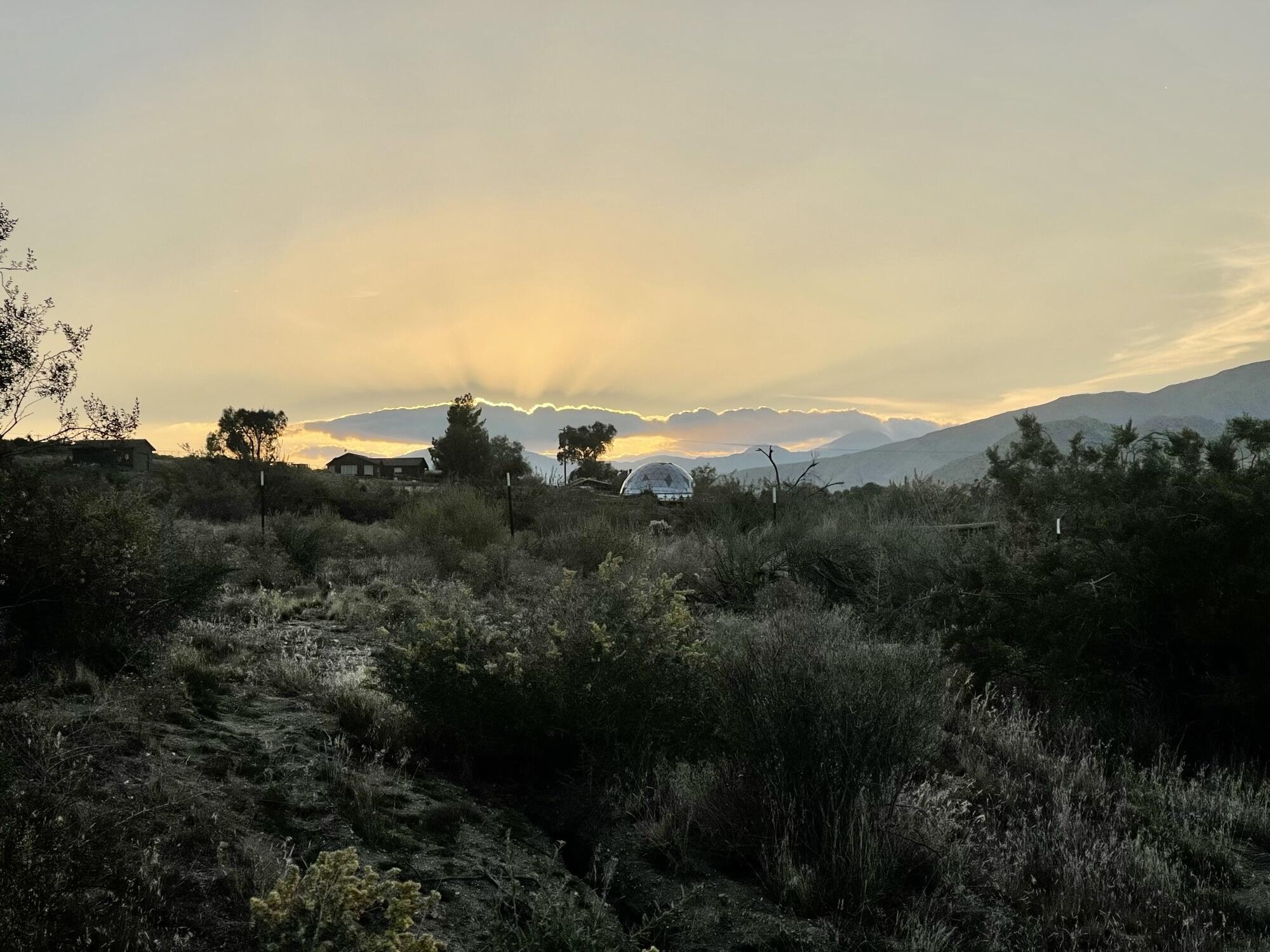 52073 Canyon Road Morongo Valley, CA 92256 - Photo 9 of 19 IMG_8884