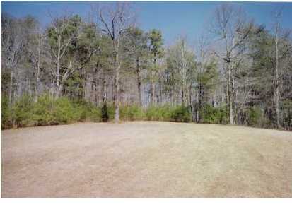 450 Hollow Road Whitwell, TN 37397 - Photo 4 of 7 Additional Photo