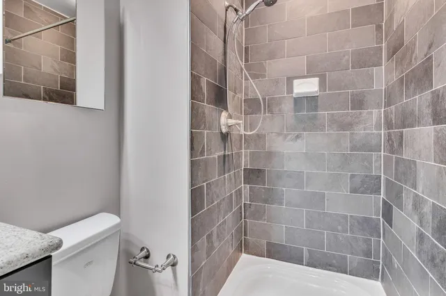 a bathroom with a shower and a toilet