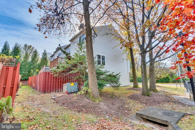 a view of a yard with plants and a large tree