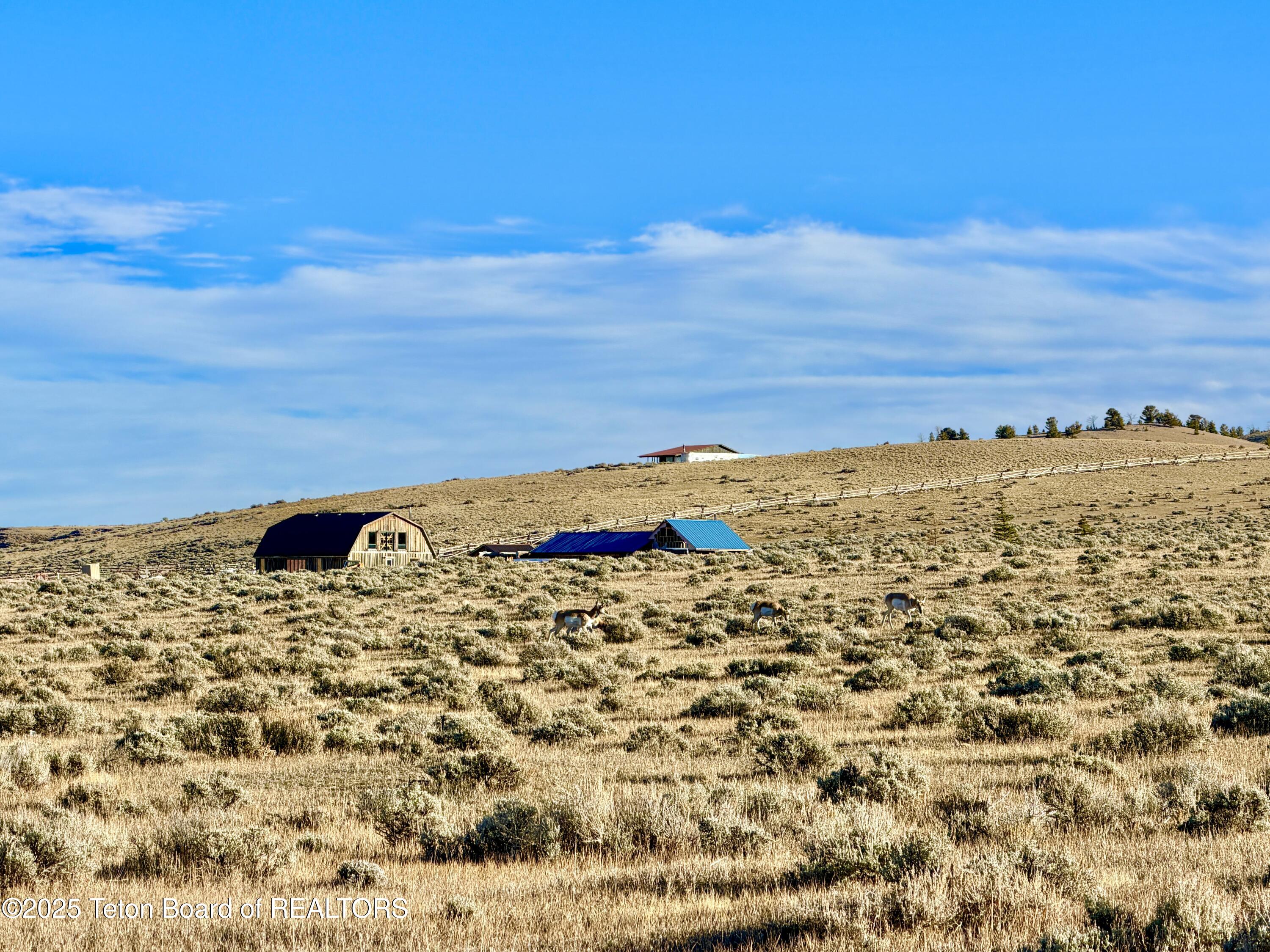Lot 5 Bald Mountain Road Dubois, WY 82513 - Photo 14 of 15 Speed Goat 1