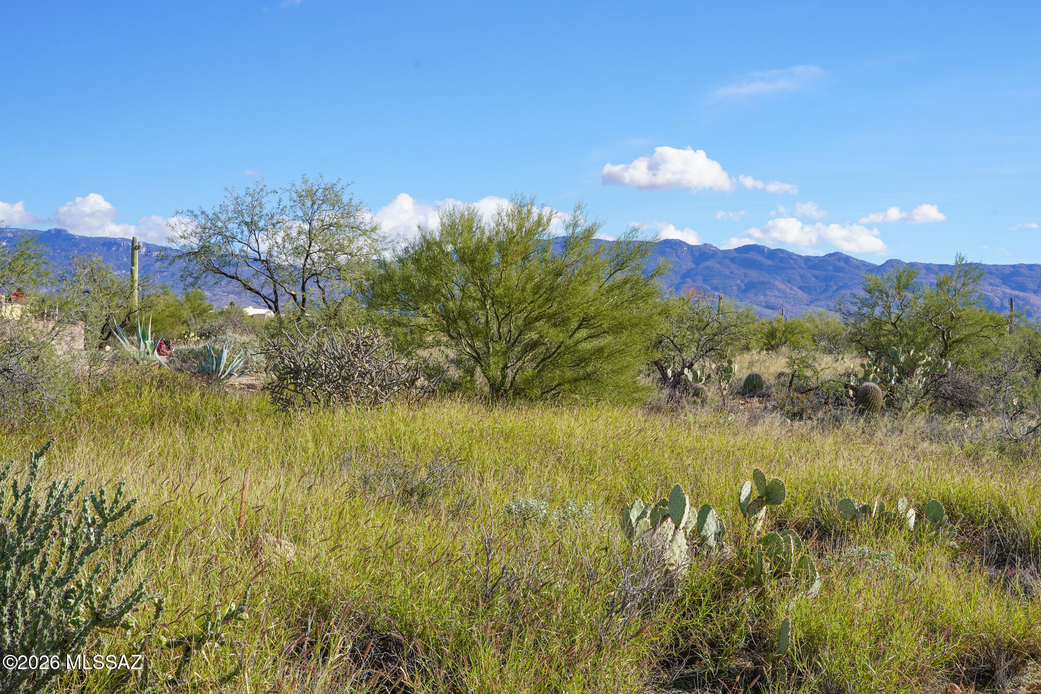 12650 East Roger Road, Unit 8 Tucson, AZ 85749 - Photo 10 of 16 Gallery Image 10