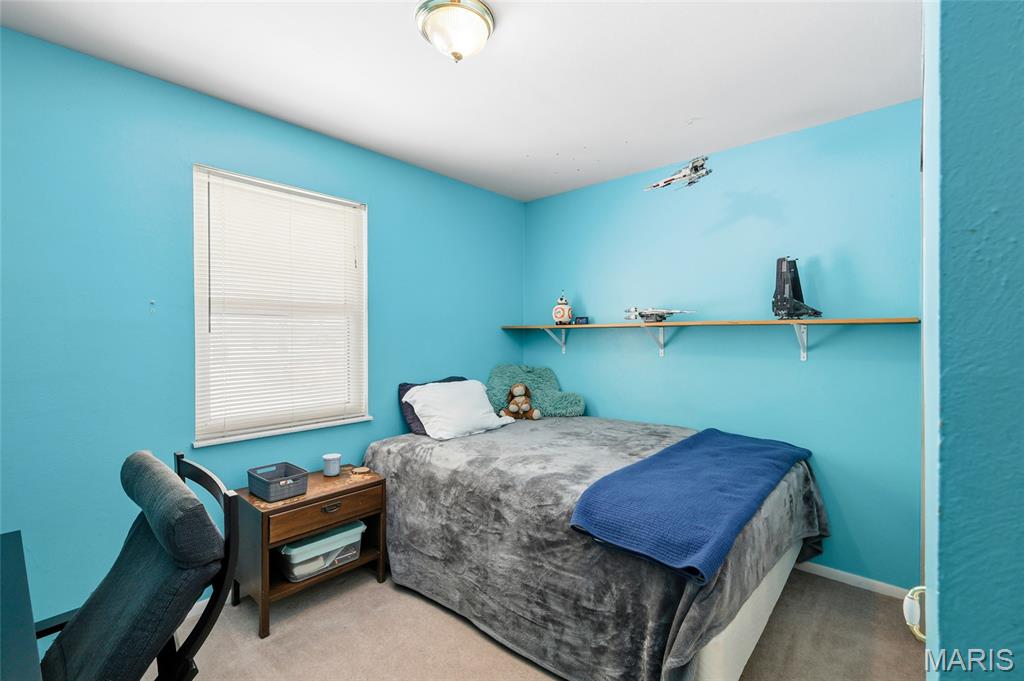 9 Ridgewood Drive Hillsboro, MO 63050 - Photo 21 of 46