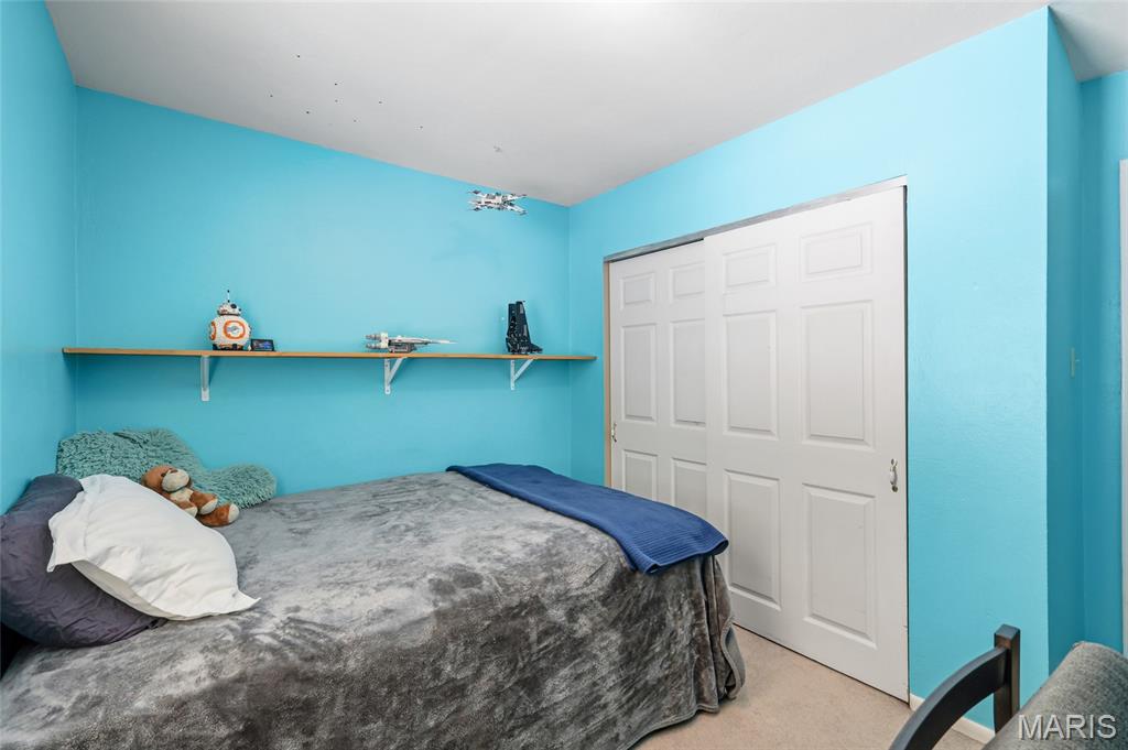 9 Ridgewood Drive Hillsboro, MO 63050 - Photo 22 of 46