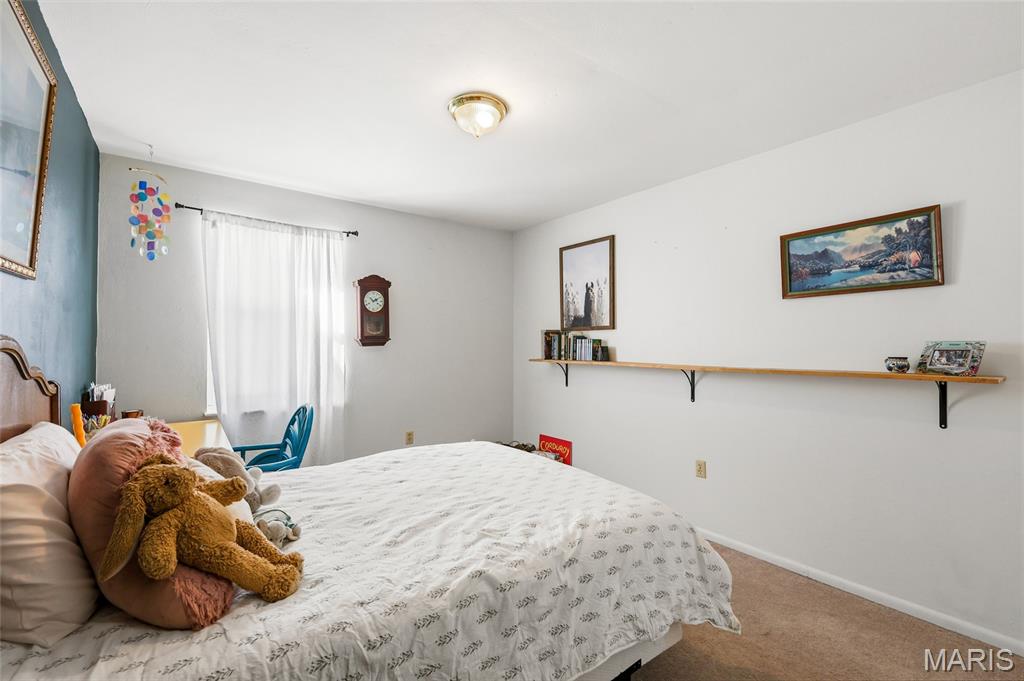 9 Ridgewood Drive Hillsboro, MO 63050 - Photo 24 of 46