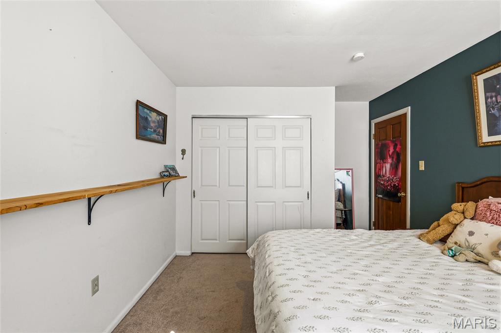 9 Ridgewood Drive Hillsboro, MO 63050 - Photo 26 of 46