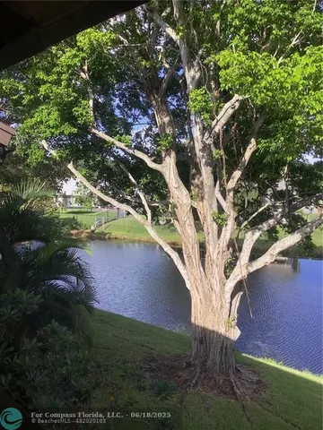 a view of a lake from a yard