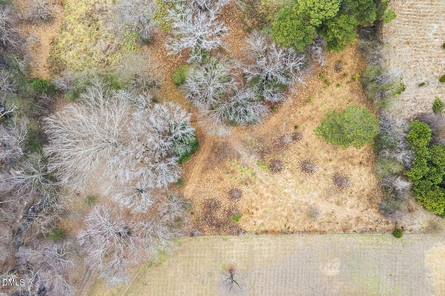 1109 Stone Home Lane Raleigh, NC 27603 - Photo 29 of 31 028