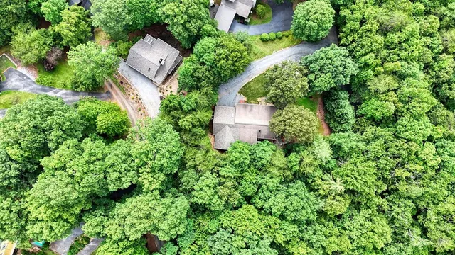a view of a tree in front of a house