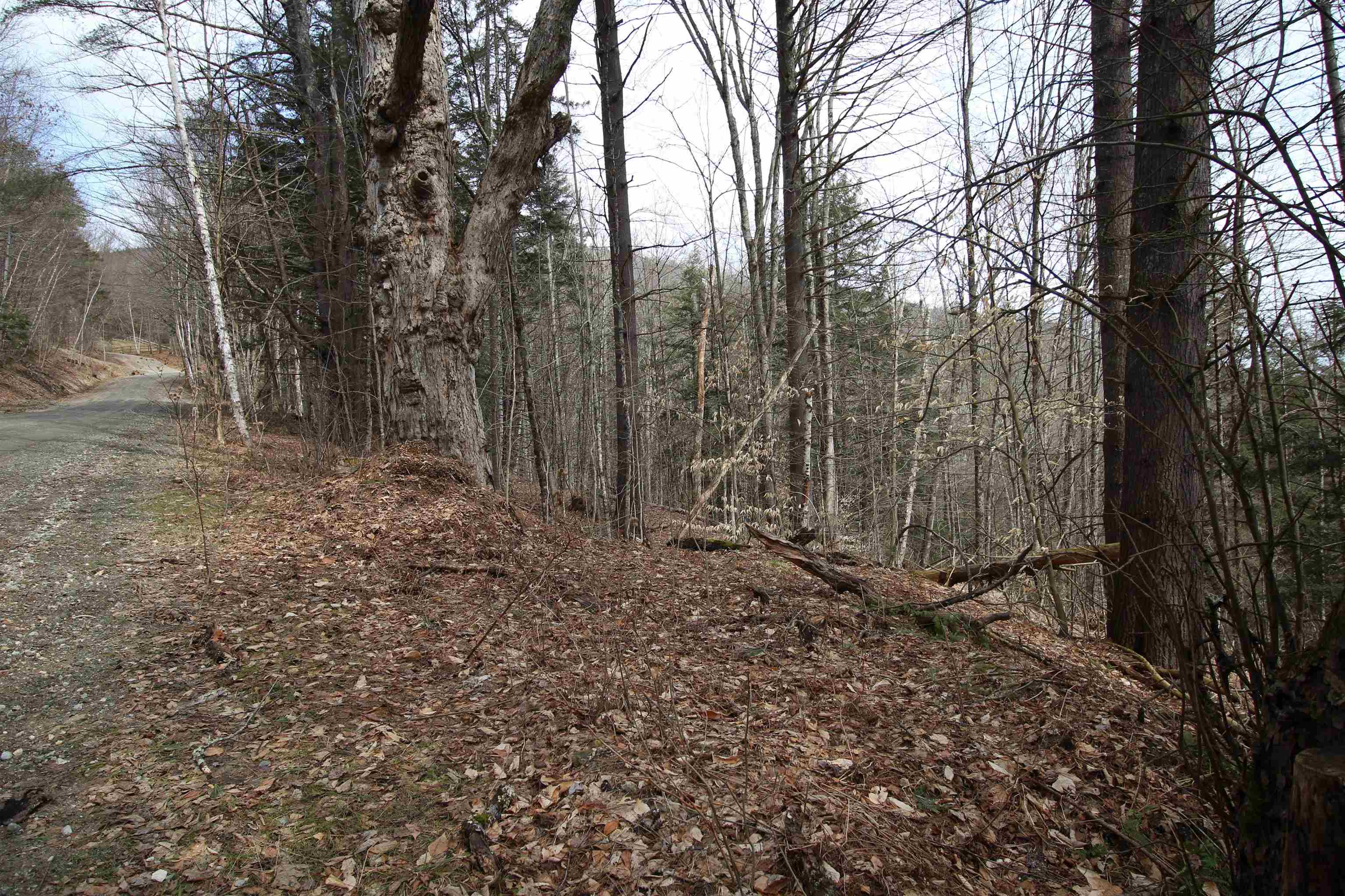 10-12 Mountain View Road Bridgewater Corners, VT 05035 - Photo 6 of 9