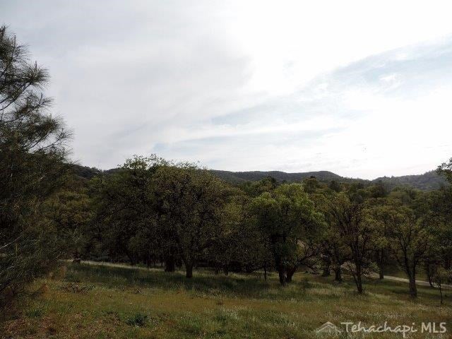 0 Rice Drive Tehachapi, CA 93561 - Photo 4 of 16 Gallery Image 4