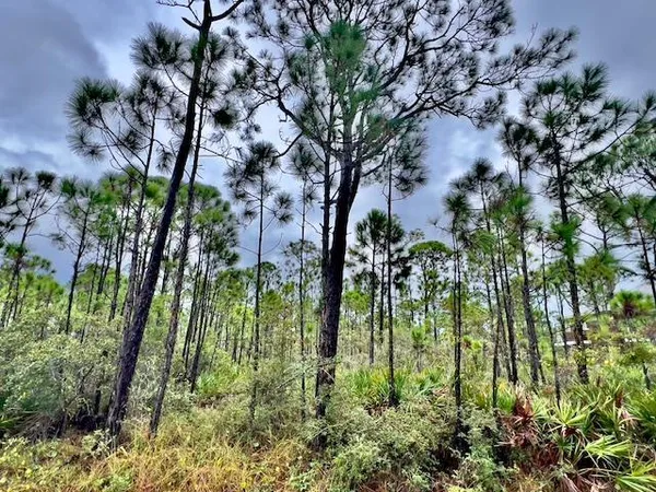 $245,000 | 2005 Sand Dollar Trail, St. George Island, FL 32328