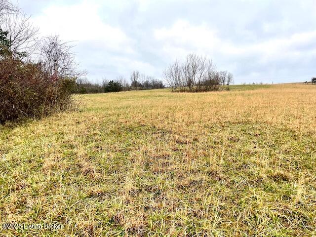5 Timber Creek Road Bloomfield, KY 40008 - Photo 4 of 16 TC 5 Acres_2
