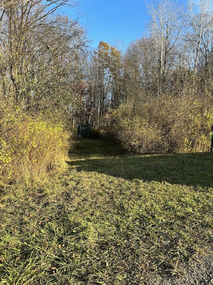 0 Bull Road Arkport, NY 14807 - Photo 1 of 1 Gallery Image 1