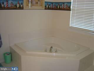 731 Kelli Lane Springfield, PA 19064 - Photo 4 of 6