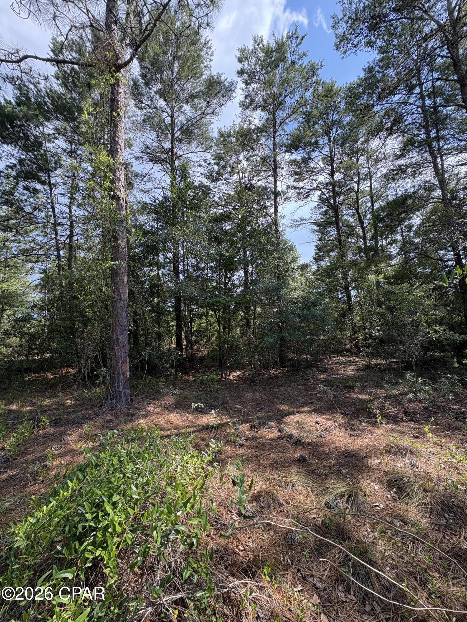 Lot 3 Dumajack Road Chipley, FL 32428 - Photo 3 of 30